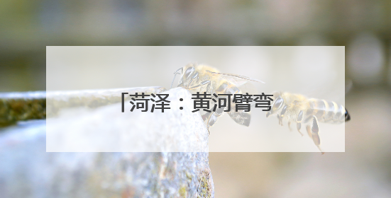 菏泽：黄河臂弯里的水韵花城