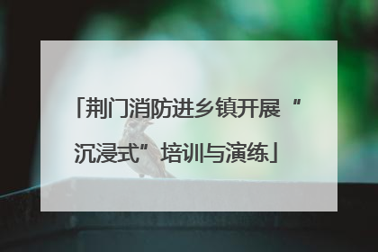 荆门消防进乡镇开展“沉浸式”培训与演练