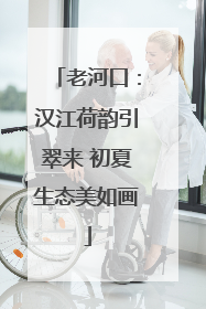 老河口：汉江荷韵引翠来 初夏生态美如画