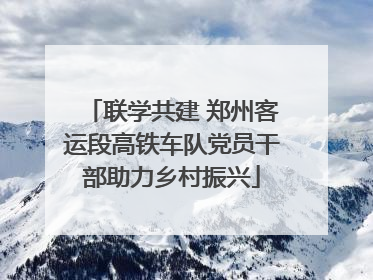 联学共建 郑州客运段高铁车队党员干部助力乡村振兴