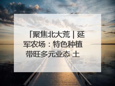 聚焦北大荒｜延军农场：特色种植带旺多元业态 土地焕发新活力
