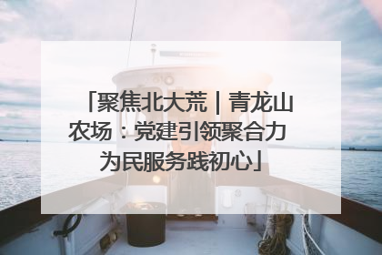 聚焦北大荒｜青龙山农场：党建引领聚合力 为民服务践初心