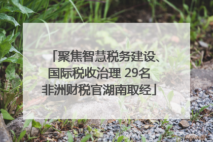 聚焦智慧税务建设、国际税收治理 29名非洲财税官湖南取经