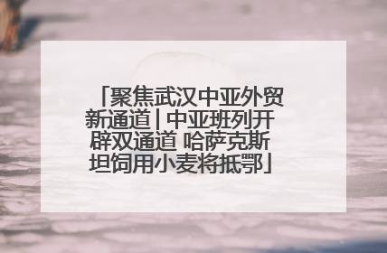 聚焦武汉中亚外贸新通道│中亚班列开辟双通道 哈萨克斯坦饲用小麦将抵鄂