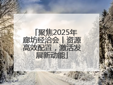 聚焦2025年廊坊经洽会丨资源高效配置，激活发展新动能