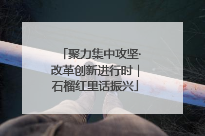 聚力集中攻坚·改革创新进行时｜石榴红里话振兴