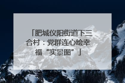 肥城仪阳街道下三合村：党群连心绘幸福“实景图”