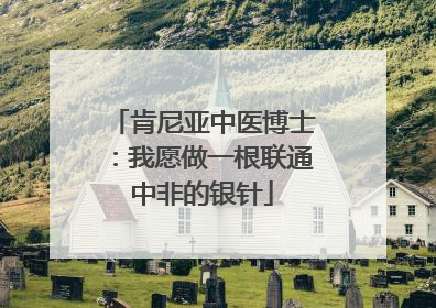 肯尼亚中医博士：我愿做一根联通中非的银针