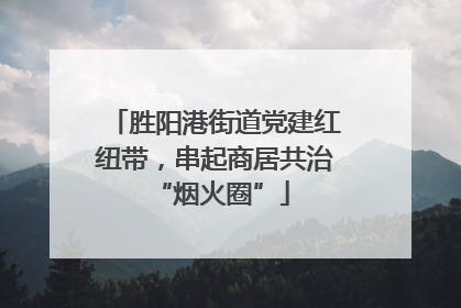 胜阳港街道党建红纽带，串起商居共治 “烟火圈”