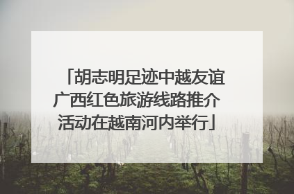 胡志明足迹中越友谊广西红色旅游线路推介活动在越南河内举行