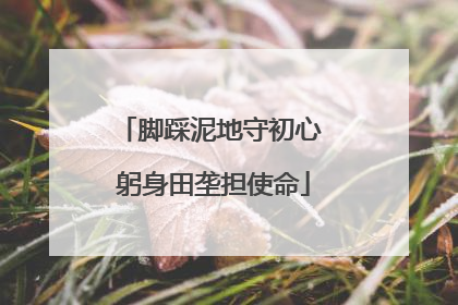 脚踩泥地守初心 躬身田垄担使命