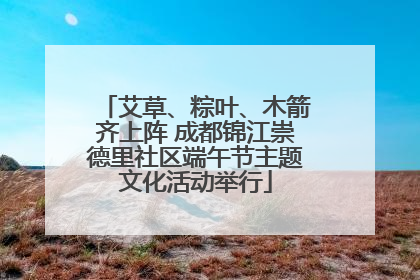 艾草、粽叶、木箭齐上阵 成都锦江崇德里社区端午节主题文化活动举行