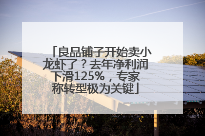 良品铺子开始卖小龙虾了？去年净利润下滑125%，专家称转型极为关键