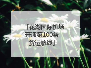 花湖国际机场开通第100条货运航线