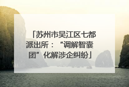 苏州市吴江区七都派出所：“调解智囊团”化解涉企纠纷