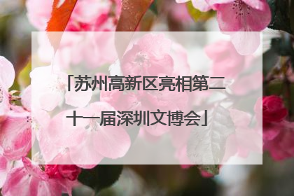 苏州高新区亮相第二十一届深圳文博会
