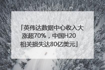 英伟达数据中心收入大涨超70%，中国H20相关损失达80亿美元