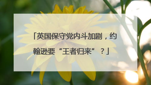 英国保守党内斗加剧，约翰逊要“王者归来”？