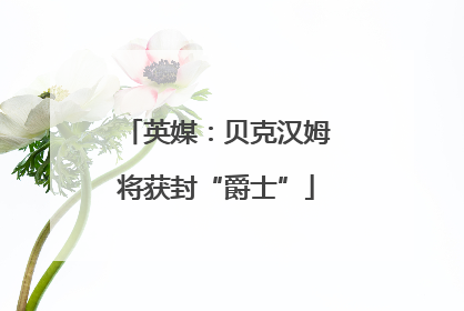 英媒：贝克汉姆将获封“爵士”