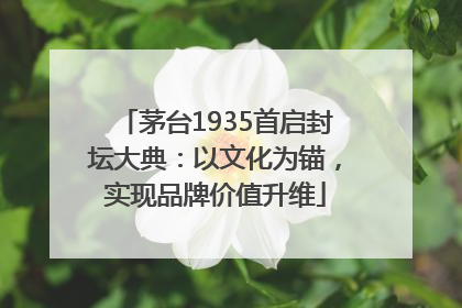 茅台1935首启封坛大典：以文化为锚，实现品牌价值升维