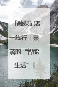 融媒记者一线行｜果蔬的“智能生活”