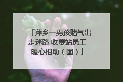 萍乡一男孩赌气出走迷路 收费站员工暖心相助（图）
