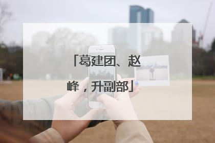 葛建团、赵峰，升副部