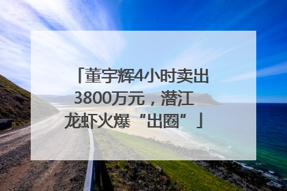 董宇辉4小时卖出3800万元，潜江龙虾火爆“出圈”