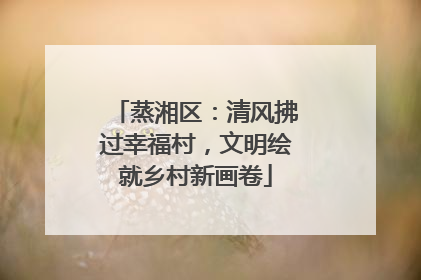 蒸湘区：清风拂过幸福村，文明绘就乡村新画卷