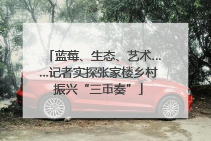 蓝莓、生态、艺术……记者实探张家楼乡村振兴“三重奏”