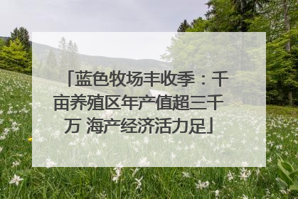蓝色牧场丰收季：千亩养殖区年产值超三千万 海产经济活力足