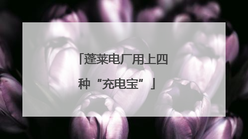 蓬莱电厂用上四种“充电宝”
