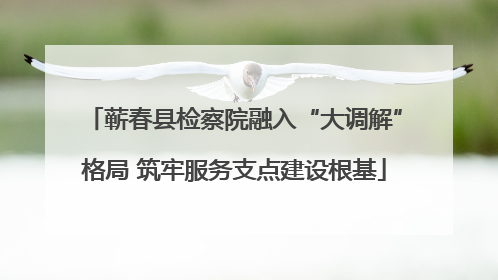 蕲春县检察院融入“大调解”格局 筑牢服务支点建设根基