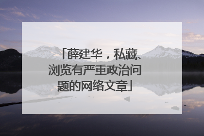 薛建华，私藏、浏览有严重政治问题的网络文章