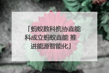 蚂蚁数科携协鑫能科成立蚂蚁鑫能 推进能源智能化