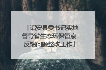 诏安县委书记实地督导省生态环保督察反馈问题整改工作