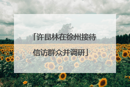 许昆林在徐州接待信访群众并调研
