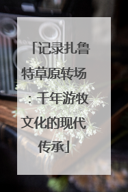 记录扎鲁特草原转场：千年游牧文化的现代传承