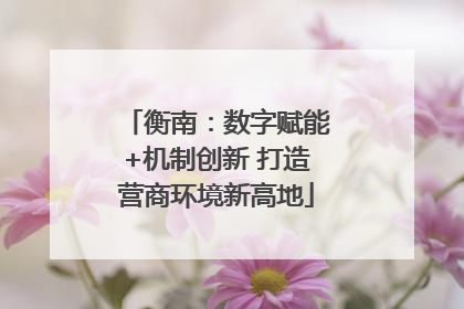 衡南：数字赋能+机制创新 打造营商环境新高地