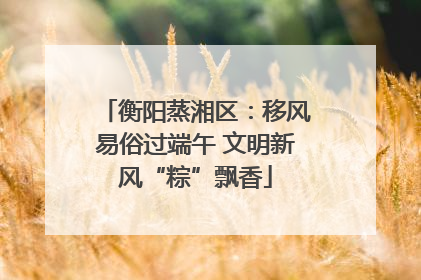 衡阳蒸湘区：移风易俗过端午 文明新风“粽”飘香