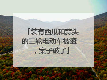 装有西瓜和蒜头的三轮电动车被盗，案子破了