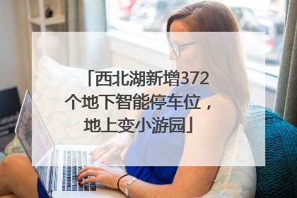 西北湖新增372个地下智能停车位，地上变小游园