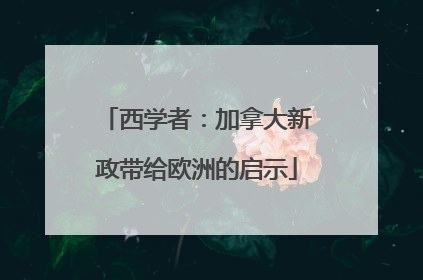 西学者：加拿大新政带给欧洲的启示