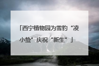 西宁植物园为雪豹“凌小蛰”庆祝“新生”