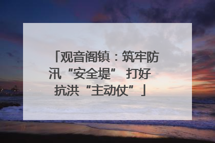 观音阁镇：筑牢防汛“安全堤” 打好抗洪“主动仗”