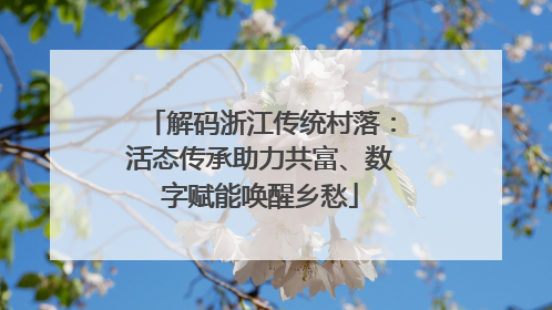 解码浙江传统村落：活态传承助力共富、数字赋能唤醒乡愁