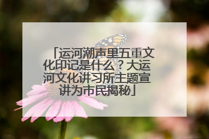 运河潮声里五重文化印记是什么？大运河文化讲习所主题宣讲为市民揭秘