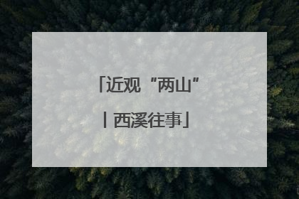 近观“两山”丨西溪往事