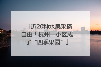 近20种水果采摘自由！杭州一小区成了“四季果园”