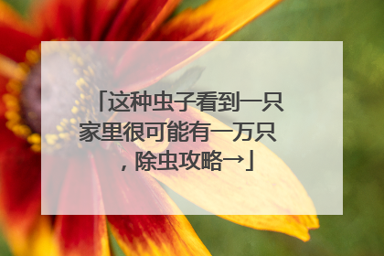 这种虫子看到一只家里很可能有一万只，除虫攻略→